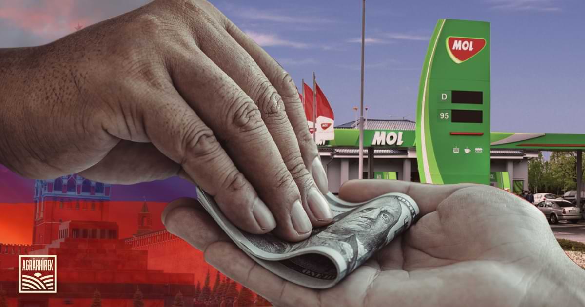 Magyarország nemzeti érdekeire